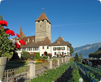 Immobilien in der Schweiz