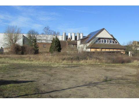 Gemischtes Grundstück kaufen in Torgelow, 1.500 m² Grundstück