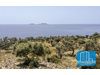 Grundstück kaufen in Agios Pavlos, 5.980 m² Grundstück
