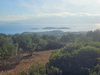 Grundstück kaufen in Agios Nikolaos, 6.313 m² Grundstück