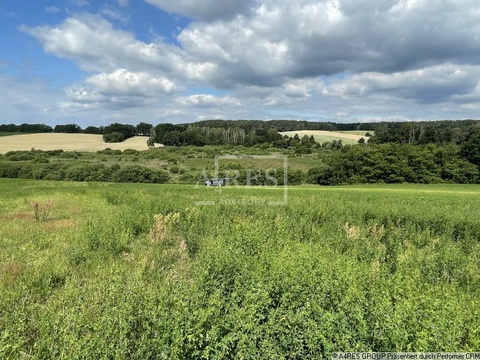 Land Forstwirschaft kaufen in Bad Saarow, 19.489 m² Grundstück