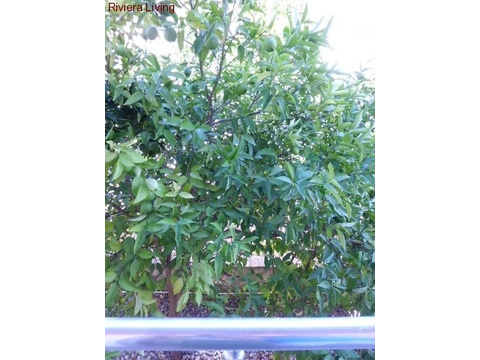 CIMG0024
