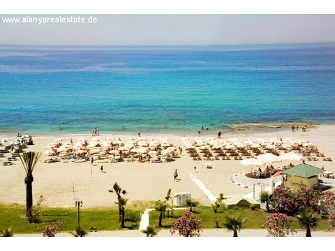 Reihenhaus am Strand in Demirtas Bild 3