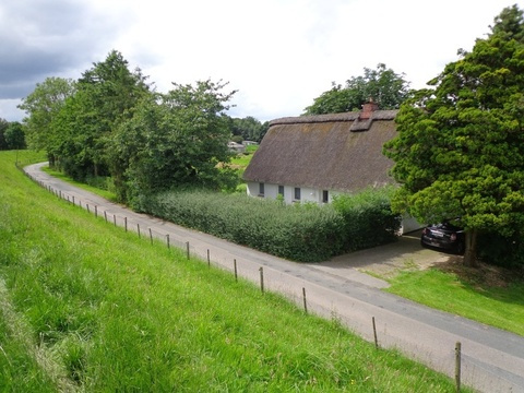 DSC05126