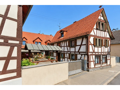Wohn und Geschäftshaus kaufen in Frankfurt am Main