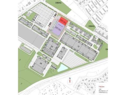 TCN Hallenneubau.png