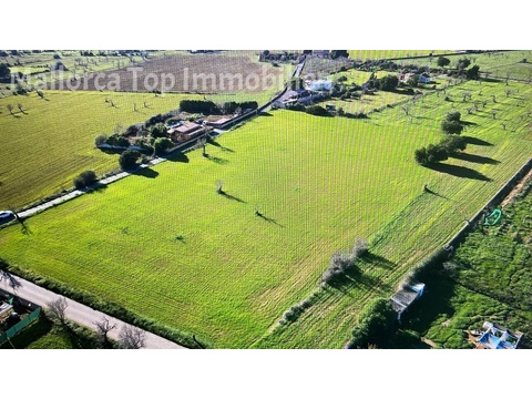 Wohngrundstück kaufen in Llucmajor, 17.000 m² Grundstück