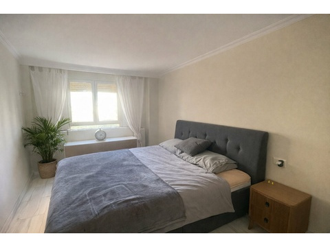Helles Schlafzimmer mit großflächigen Fenstern und optimaler Belüftung