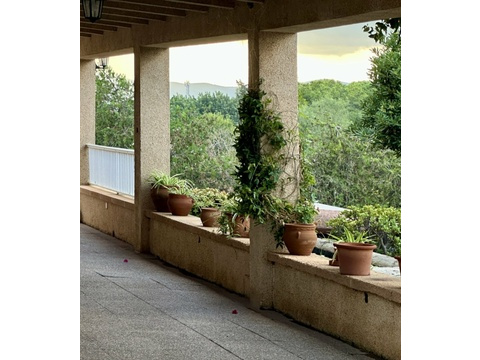 Überdachte Loggia mit Panoramablick auf die bewaldete Landschaft und Natursteinpfeiler