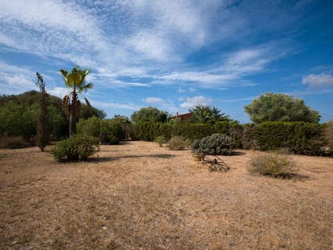 Weitläufiges Grundstück mit etabliertem Baumbestand und privater Parklandschaft