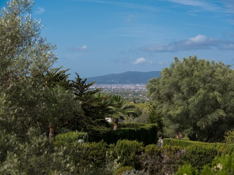 Panoramablick vom privaten Grundstück - Weitläufige Parklandschaft mit mediterranem Baumbestand