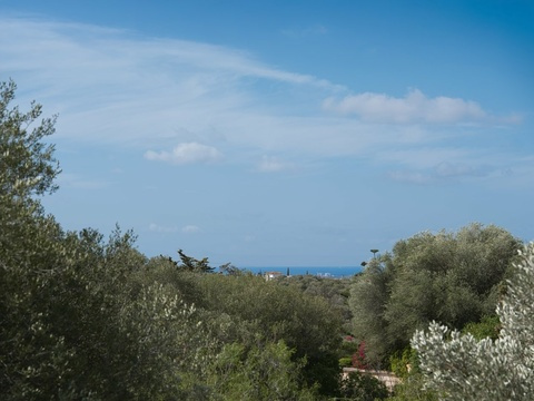 Fernblick auf das Meer - Idyllische Hanglage mit Panoramaaussicht