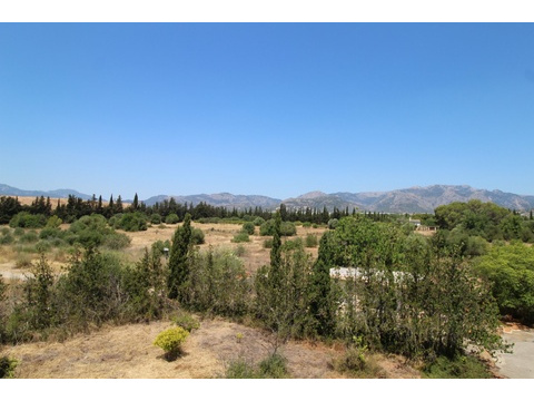 Naturbelassenes Waldgrundstück mit malerischer Bergkulisse und ungehindertem Fernblick