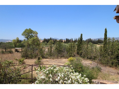 Unverbaubarer Panoramablick über Waldlandschaft und Bergkette