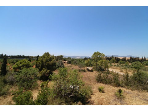 Weitläufiges Waldgrundstück mit unverbaubarem Panoramablick auf die Berglandschaft
