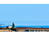 Villa kaufen in Palma, 628 m² Grundstück, 362 m² Wohnfläche, 5 Zimmer