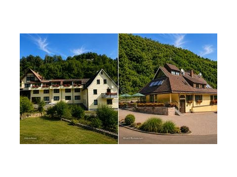 Hotel kaufen in Oberndorf am Neckar, mit Stellplatz