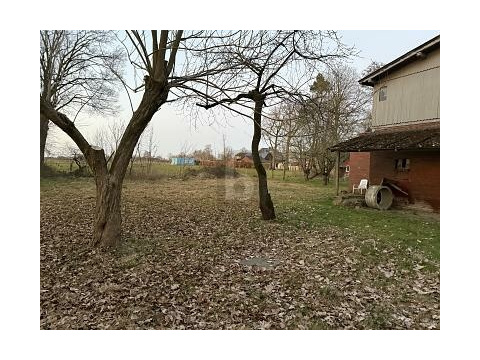 Wohngrundstück kaufen in Oldendorf, 3.910 m² Grundstück