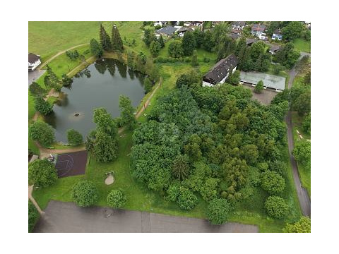 Gewerbegrundstück kaufen in Herrischried, 5.964 m² Grundstück
