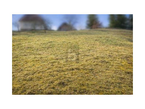 Wohngrundstück kaufen in Baiersbronn, 550 m² Grundstück