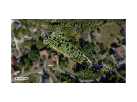 Land Forstwirschaft kaufen in Etzelwang, 2.593 m² Grundstück