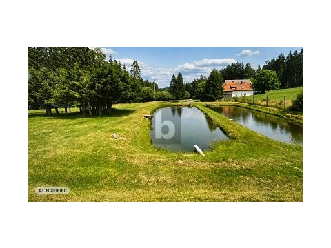 Land Forstwirschaft kaufen in Kulmain, 38.000 m² Grundstück