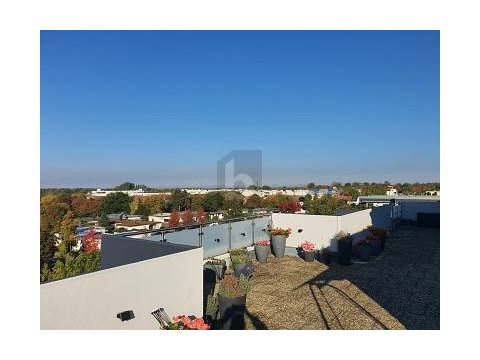 Penthousewohnung kaufen in Rastatt, 180 m² Wohnfläche, 5 Zimmer