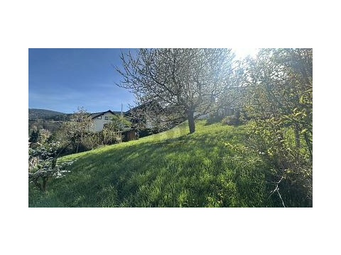 Wohngrundstück kaufen in Bühlertal, 589 m² Grundstück