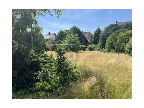 Wohngrundstück kaufen in Hamminkeln, 831 m² Grundstück