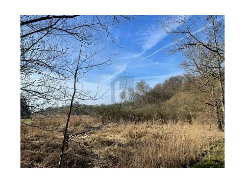Land Forstwirschaft kaufen in Krummesse, 4.318 m² Grundstück