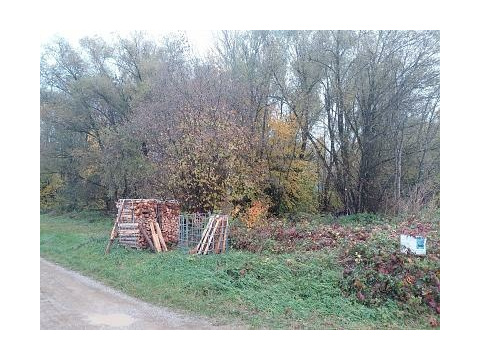 Land Forstwirschaft kaufen in Landsberied, 13.750 m² Grundstück