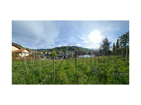 Wohngrundstück kaufen in Bühlertal, 770 m² Grundstück