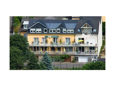 Hotel kaufen in Burg (Mosel)