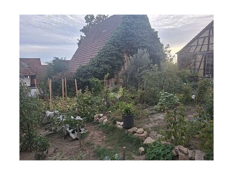 Gewerbegrundstück kaufen in Ludwigsburg, 365 m² Grundstück