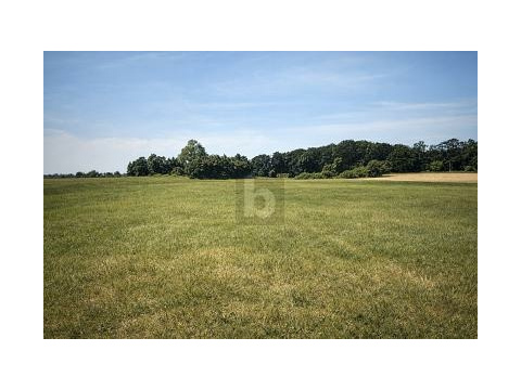 Land Forstwirschaft kaufen in Dreschvitz, 44.096 m² Grundstück