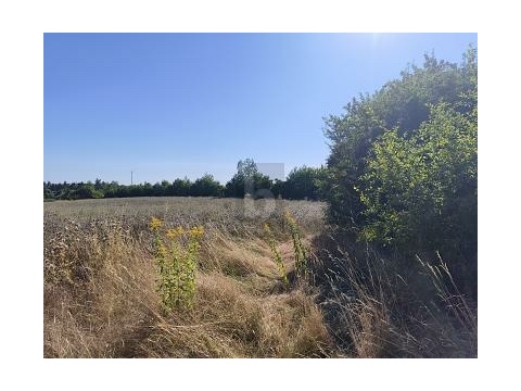 Gemischtes Grundstück kaufen in Geithain, 60.260 m² Grundstück