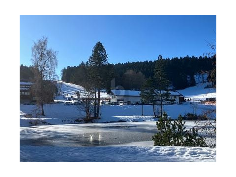 Etagenwohnung kaufen in Herrischried, mit Stellplatz, 56 m² Wohnfläche, 2 Zimmer