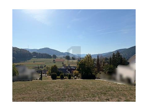 Wohngrundstück kaufen in Lahr/Schwarzwald, 1.666 m² Grundstück