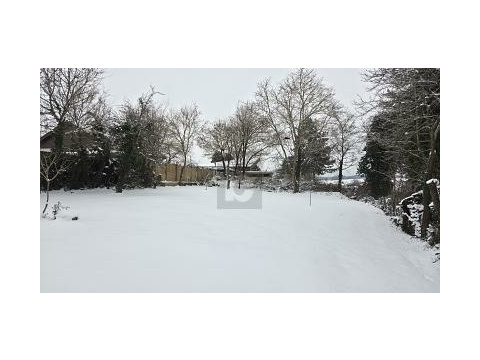 Wohngrundstück kaufen in Buchen (Odenwald), 894 m² Grundstück