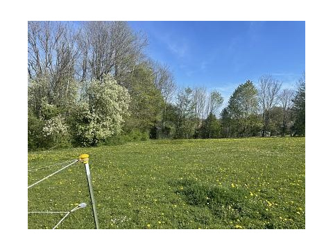 Freizeitgrundstück kaufen in Berg, 2.000 m² Grundstück