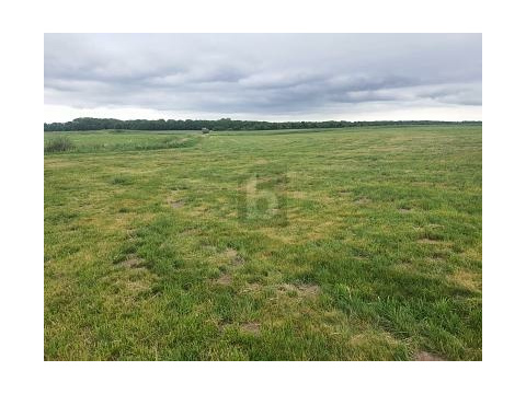 Land Forstwirschaft kaufen in Dreschvitz, 44.096 m² Grundstück