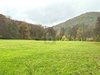 Land Forstwirschaft kaufen in Bockenau, 1.977 m² Grundstück