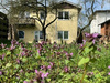 Mehrfamilienhaus kaufen in Bad Schwartau, 744 m² Grundstück, 170 m² Wohnfläche, 8 Zimmer
