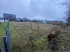 Wohngrundstück kaufen in Hechthausen, 680 m² Grundstück