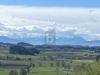 Wohngrundstück kaufen in Grünkraut, 994 m² Grundstück