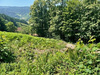 Wohngrundstück kaufen in Ottenhöfen im Schwarzwald, 1.585 m² Grundstück