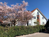 Mehrfamilienhaus kaufen in Rust, mit Garage, 685 m² Grundstück, 270 m² Wohnfläche, 7,5 Zimmer