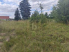 Wohngrundstück kaufen in Wermsdorf, 1.500 m² Grundstück