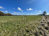 Land Forstwirschaft kaufen in Oststeinbek, 89.832 m² Grundstück