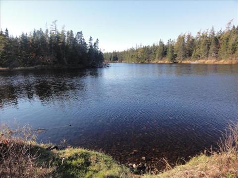 Wohngrundstück kaufen in Grand River, 4.000 m² Grundstück